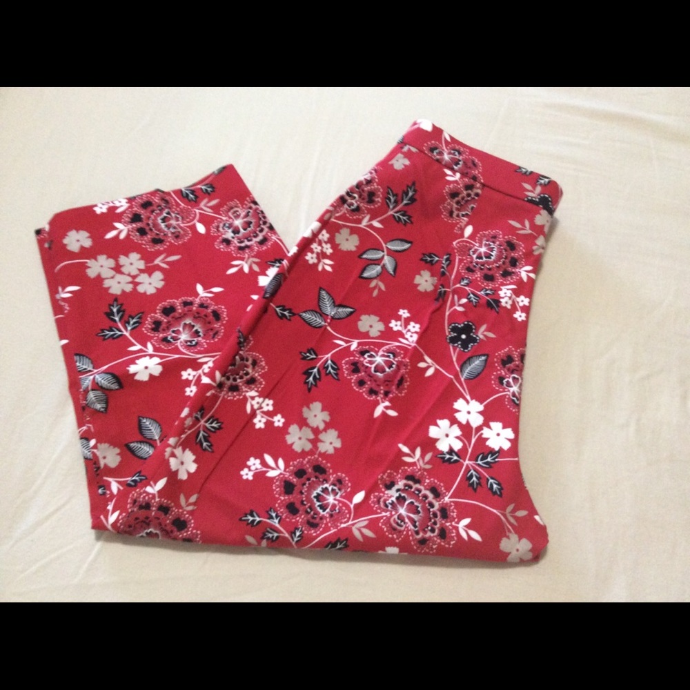 Briggs Cropped Pants